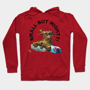 Wales Hoodie